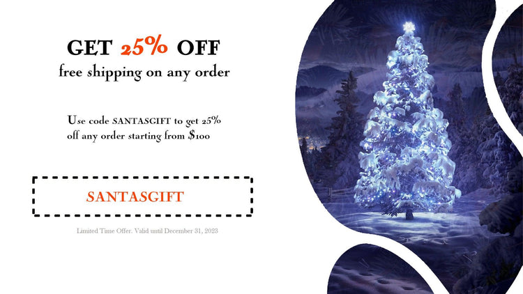 Xmas-promotion-sale-25%-off-ZopaFlame